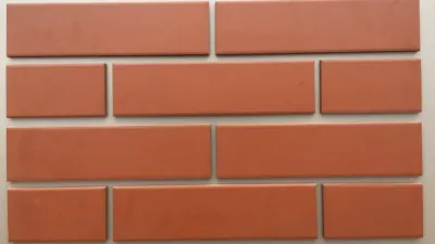 Фасадная Термопанели Аляска Rot Glatt