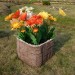 Цветник КАНЬОН купить в Волоколамске
