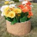 Цветник КАНЬОН купить в Волоколамске